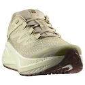 Męskie buty do biegania Salomon Aero Glide 3 GRVL Green Haze/Vanilla Ice/Russet