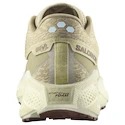 Męskie buty do biegania Salomon Aero Glide 3 GRVL Green Haze/Vanilla Ice/Russet