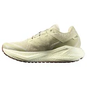 Męskie buty do biegania Salomon Aero Glide 3 GRVL Green Haze/Vanilla Ice/Russet
