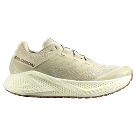 Męskie buty do biegania Salomon Aero Glide 3 GRVL Green Haze/Vanilla Ice/Russet