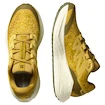 Męskie buty do biegania Salomon Aero Glide 3 GRVL Spicy Mustard/Vanilla Ice/Deep Lichen Green