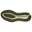 Męskie buty do biegania Salomon Aero Glide 3 GRVL Spicy Mustard/Vanilla Ice/Deep Lichen Green