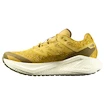 Męskie buty do biegania Salomon Aero Glide 3 GRVL Spicy Mustard/Vanilla Ice/Deep Lichen Green