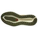 Męskie buty do biegania Salomon Aero Glide 3 GRVL Spicy Mustard/Vanilla Ice/Deep Lichen Green