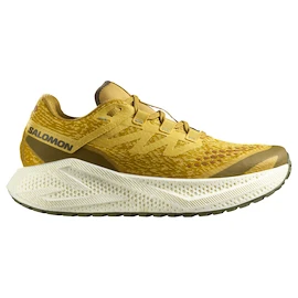 Męskie buty do biegania Salomon Aero Glide 3 GRVL Spicy Mustard/Vanilla Ice/Deep Lichen Green