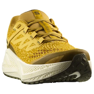 Męskie buty do biegania Salomon Aero Glide 3 GRVL Spicy Mustard/Vanilla Ice/Deep Lichen Green