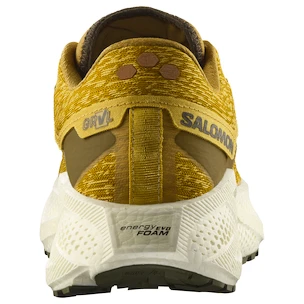 Męskie buty do biegania Salomon Aero Glide 3 GRVL Spicy Mustard/Vanilla Ice/Deep Lichen Green