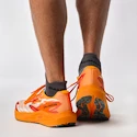 Męskie buty do biegania Salomon  AERO VOLT