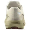 Męskie buty do biegania Salomon DRX Defy Grvl Vanilla Ice/Green Haze/White Pepper