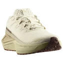 Męskie buty do biegania Salomon DRX Defy Grvl Vanilla Ice/Green Haze/White Pepper