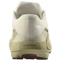 Męskie buty do biegania Salomon DRX Defy Grvl Vanilla Ice/Green Haze/White Pepper