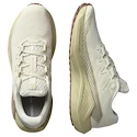 Męskie buty do biegania Salomon DRX Defy Grvl Vanilla Ice/Green Haze/White Pepper