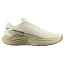 Męskie buty do biegania Salomon DRX Defy Grvl Vanilla Ice/Green Haze/White Pepper