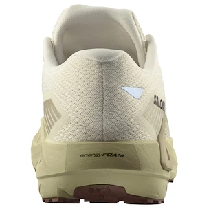 Męskie buty do biegania Salomon DRX Defy Grvl Vanilla Ice/Green Haze/White Pepper