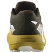 Męskie buty do biegania Salomon DRX Defy Grvl Wren/Spicy Mustard/Vanilla Ice