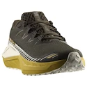 Męskie buty do biegania Salomon DRX Defy Grvl Wren/Spicy Mustard/Vanilla Ice