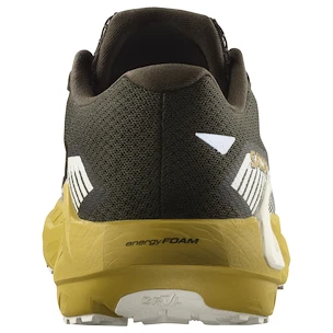 Męskie buty do biegania Salomon DRX Defy Grvl Wren/Spicy Mustard/Vanilla Ice