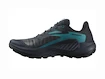 Męskie buty do biegania Salomon Genesis Carbon/Tahitian Tide/Quiet Shade