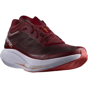 Preizkušeno -  Męskie buty do biegania Salomon Phantasm Biking Red/Purple Heart  UK 10,5