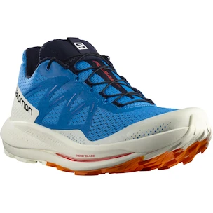 Męskie buty do biegania Salomon Pulsar Trail Indigo Bunting