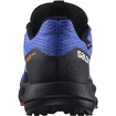 Męskie buty do biegania Salomon Pulsar Trail Pulsar Trail GTX Dazzling Blue
