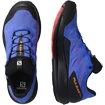 Męskie buty do biegania Salomon Pulsar Trail Pulsar Trail GTX Dazzling Blue
