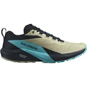 Męskie buty do biegania Salomon Sense Ride 5 Alfalfa / Carbon / Peacock Blue  UK 9