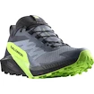 Męskie buty do biegania Salomon SENSE RIDE 5 GTX Flint/Black/Grgeck