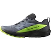 Męskie buty do biegania Salomon SENSE RIDE 5 GTX Flint/Black/Grgeck