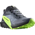 Męskie buty do biegania Salomon SENSE RIDE 5 GTX Flint/Black/Grgeck