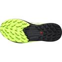 Męskie buty do biegania Salomon Sense Ride 5 GTX Flint/Black/Grgeck
