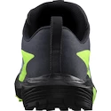 Męskie buty do biegania Salomon Sense Ride 5 GTX Flint/Black/Grgeck
