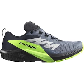 Męskie buty do biegania Salomon SENSE RIDE 5 GTX Flint/Black/Grgeck