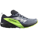Męskie buty do biegania Salomon Sense Ride 5 GTX Flint/Black/Grgeck  UK 11