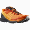 Męskie buty do biegania Salomon Sense Ride Sense Ride 4 Vibrant Orange / Ebony