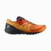 Męskie buty do biegania Salomon Sense Ride Sense Ride 4 Vibrant Orange / Ebony