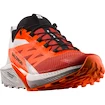 Męskie buty do biegania Salomon Sense Ride SENSE RIDE 5