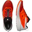 Męskie buty do biegania Salomon Sense Ride SENSE RIDE 5