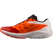Męskie buty do biegania Salomon Sense Ride SENSE RIDE 5