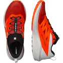 Męskie buty do biegania Salomon Sense Ride SENSE RIDE 5