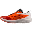 Męskie buty do biegania Salomon Sense Ride SENSE RIDE 5