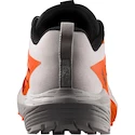 Męskie buty do biegania Salomon Sense Ride SENSE RIDE 5