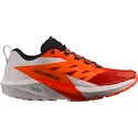 Męskie buty do biegania Salomon Sense Ride SENSE RIDE 5