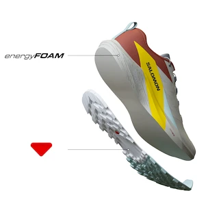 Męskie buty do biegania Salomon Sense Ride SENSE RIDE 5