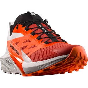 Męskie buty do biegania Salomon Sense Ride SENSE RIDE 5