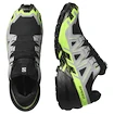 Męskie buty do biegania Salomon Speedcross 6 Gore-Tex Black/Alloy/Green Gecko