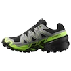Męskie buty do biegania Salomon Speedcross 6 Gore-Tex Black/Alloy/Green Gecko