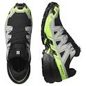 Męskie buty do biegania Salomon Speedcross 6 Gore-Tex Black/Alloy/Green Gecko