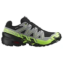 Męskie buty do biegania Salomon Speedcross 6 Gore-Tex Black/Alloy/Green Gecko