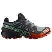 Męskie buty do biegania Salomon Speedcross 6 Gore-Tex North Atlantic/Black/Cherry Tomato